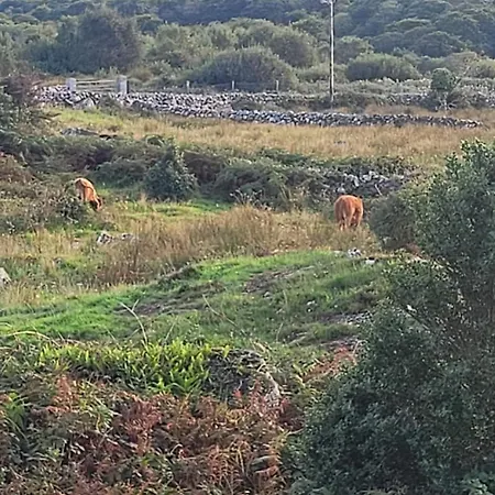 An Cnocan